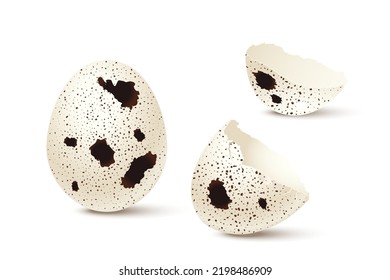 Whole and broken quail eggs set vector illustration. 3d realistic cracked eggshell pieces of bird egg with speckled and dotted texture on surface, isolated fresh poultry farm product for cooking