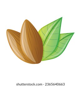 whole brown almond nuts in shell with green leaves