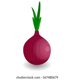 Whole bulb red onion with fresh green sprout. Onion icon. Isolated object. Onion logo. Vegetable from the garden. Organic food. Red Onion vector illustration. Salad ingredient. Healthy vegetable.