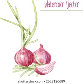 Cebola vermelha bulbo inteiro com broto verde, fatia e alecrim erva, vetor aquarela adequado para blogs culinários e receitas.