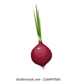 Whole bulb red onion with roots and green leaf sprouts, vector illustration