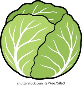 Whole Cabbage Vegetable Icon Simple Vector Illustration