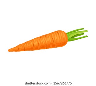 Whole Carrot With Cutout Top Leaves Vector Element