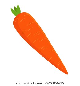 Whole carrot vector illustration. Cartoon drawing of whole carrot isolated on white background. Food, nutrition, diet concept