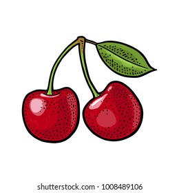 Whole cherry berry with leaf. Vector color vintage engraving illustration for menu, poster. Isolated on white background. Hand drawn design element for label and poster