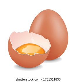 Whole chicken egg and broken egg with yolk. Realistic vector