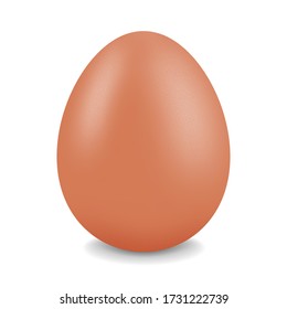 Whole chicken egg. Realistic vector