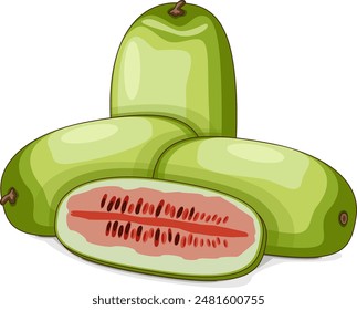 Whole and chopped Ali Baba Watermelon. Citrullus lanatus. Vegetables. Clipart. Isolated vector illustration.