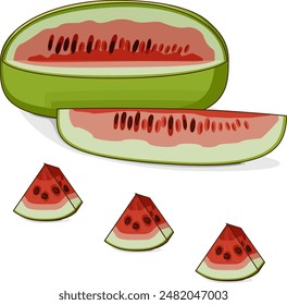 Whole and chopped Ali Baba Watermelon. Citrullus lanatus. Vegetables. Clipart. Isolated vector illustration.