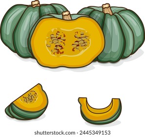 Whole and chopped Blue pumpkin. Winter squash. Cucurbita maxima. Vegetables. Clipart. Isolated vector illustration.