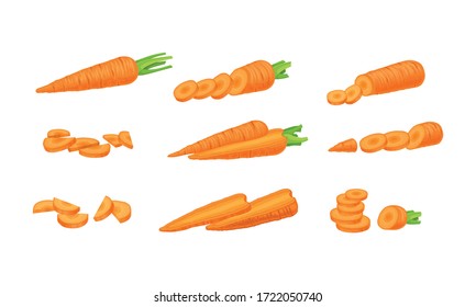 Whole and Chopped Carrot without Top Leaves Vector Set