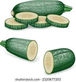 Whole and chopped Cousa or Kousa squash or Magda squash. Summer squash. Cucurbita moschata. Fruits and vegetables. Vector illustration isolated on white background.