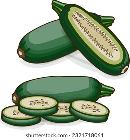 Whole and chopped Cousa or Kousa squash or Magda squash. Summer squash. Cucurbita moschata. Fruits and vegetables. Clipart. Vector illustration isolated on white background.