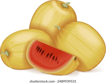 Whole and chopped Faerie watermelon. Citrullus lanatus. Fruits and vegetables. Isolated vector illustration.