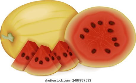 Whole and chopped Faerie watermelon. Citrullus lanatus. Fruits and vegetables. Isolated vector illustration.