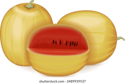 Whole and chopped Faerie watermelon. Citrullus lanatus. Fruits and vegetables. Isolated vector illustration.