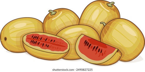 Whole and chopped Faerie watermelon. Citrullus lanatus. Vegetables. Clipart. Isolated vector illustration.