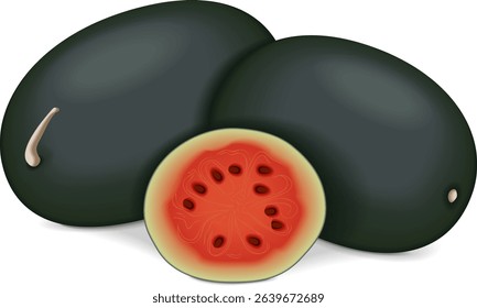 Whole and chopped Kiran Watermelons. Ice-box Watermelon. Citrullus lanatus. Fruits and vegetables. Isolated vector illustration.