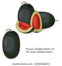 Melancias Kiran inteiras e picadas. Melancia de caixa de gelo. Citrullus lanatus Produtos hortícolas. Clipart. Ilustração isolada de vetor.
