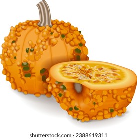 Ganze und zerschnittene Knucklehead Kürbis. Winterschlaf. Cucurbita pepo. Obst und Gemüse. Einzige Vektorgrafik.