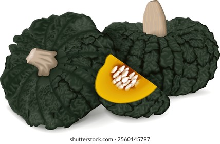 Whole and chopped Marina di Chiogga Squash or Chioggia Sea pumpkin. Winter squash. Cucurbita maxima.  Isolated vector illustration.