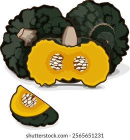 Whole and chopped Marina di Chiogga Squash or Chioggia Sea pumpkin. Winter squash. Vegetables. Clip art. Isolated vector illustration.