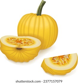 Whole and chopped Mellow Yellow Pumpkin. Winter squash. Cucurbita pepo. Fruits and vegetables. Isolated vector illustration.