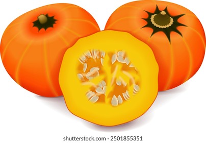 Whole and chopped Orange buttercup squash. Winter squash. Cucurbita maxima. Fruits and vegetables. Isolated vector illustration.