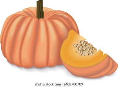 Whole and chopped Pink pumpkins or Porcelain Doll squash. Winter squash. Cucurbita maxima. Fruits and vegetables. Isolated vector illustration.