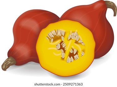 Completo e picado de abóbora curda vermelha. Escalar abóbora-cebola, abóbora-potimarron. Abóbora-menina. Cucurbita maxima Frutas e legumes. Ilustração isolada de vetor.