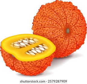 Whole and chopped Red Warty Thing Pumpkin. Winter squash. Cucurbita maxima. Fruits and vegetables. Isolated vector illustration.