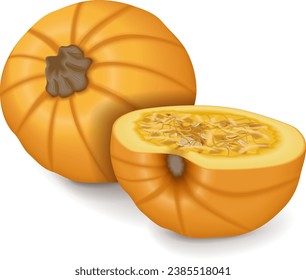 Whole and chopped Sugar Pie Pumpkins. Winter squash. Cucurbita pepo. Fruits and vegetables. Isolated vector illustration.