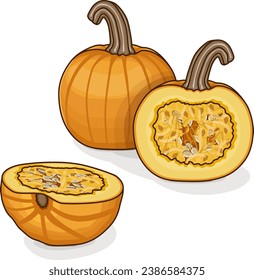 Whole and chopped Sugar Pie Pumpkins. Winter squash. Cucurbita pepo. Vegetables. Clipart. Isolated vector illustration.