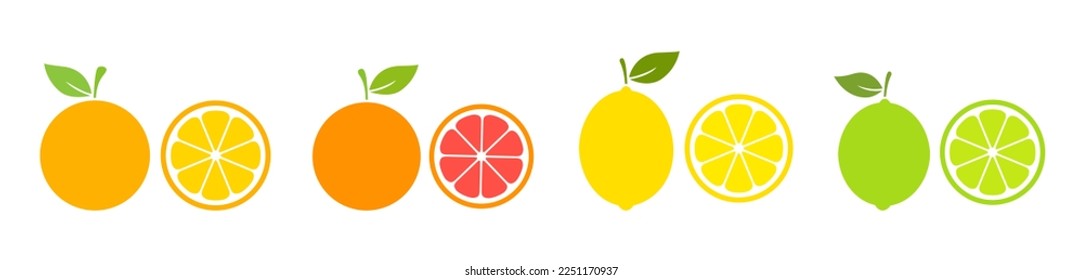 Whole citrus fruit with slices collection. Orange, grapefruit, lemon and lime set. Vector illustration isolated on white.