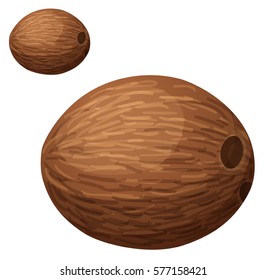 Whole coconut. Cartoon vector icon isolated on white background. Series of food and drink and ingredients for cooking.