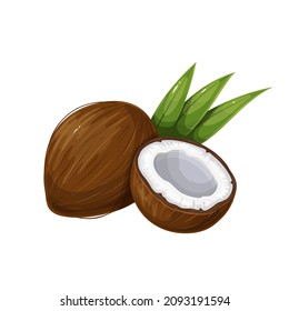 Whole Coconut, Half and Green Leaf. Tropical fruit vector illustration