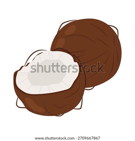 Whole coconut with half isolated on white background. Summer fruits. Coconut tropical closeup illustration.