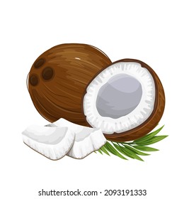 Whole Coconut, half and pieces of coconut with green palm leaf. Tropical fruit vector illustration