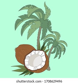Whole coconut, coconut halves, two palm trees. High quality summer vector illustration.