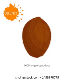 whole coconut with the inscription. Vector banner on the theme of healthy eating. Unpeeled coconut close up.