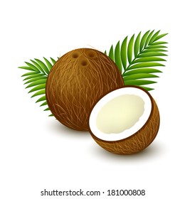 Whole coconut with piece and palm leaves on white background. Vector illustration. 