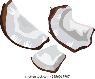 Whole coconut pieces, vector illustration