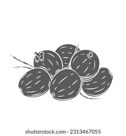 Whole coconut pile glyph icon vector illustration. Stamp of raw coco fruit heap, silhouette of natural harvest of coconut palm tree from tropical summer garden, beach or jungle, exotic round nuts
