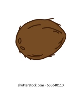 Whole coconut vector illustration drawing.