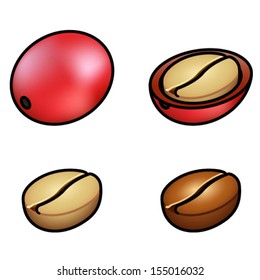 A whole coffee berry, a cut-open berry, a raw coffee bean, and a roasted coffee bean.