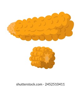 A whole corn cob and half, yellow is a bright color for a juicy texture. It is suitable for agricultural infographics, summer-themed decoration or culinary posters. Fresh isolated vegetable. Vector