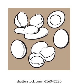 Whole and cracked, broken shell chicken egg composition, sketch style vector illustration isolated on white background. Hand drawn raw, boiled and fried, whole and cracked chicken eggs