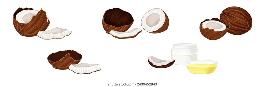 Whole and Cracked Coconut with Hard Shell and Fibrous Husk Vector Set