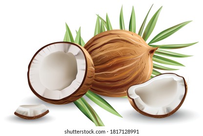 Whole and cracked open coconuts with monstera leaves. Realistic. 3D mockup product placement. Vector