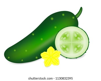 A whole cucumber and a circle with a flower on a white background.